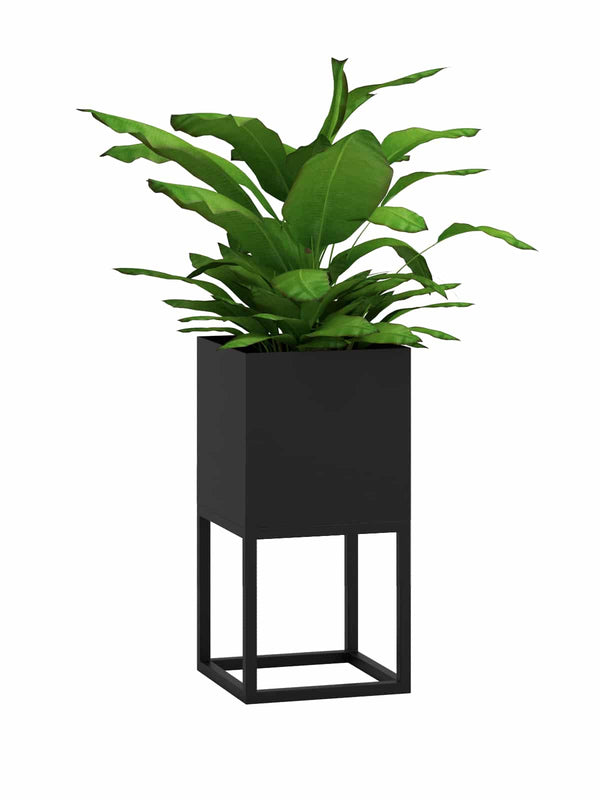 Minimalist Matte Black Metal Planter – Decorative Indoor Pot for Modern Homes